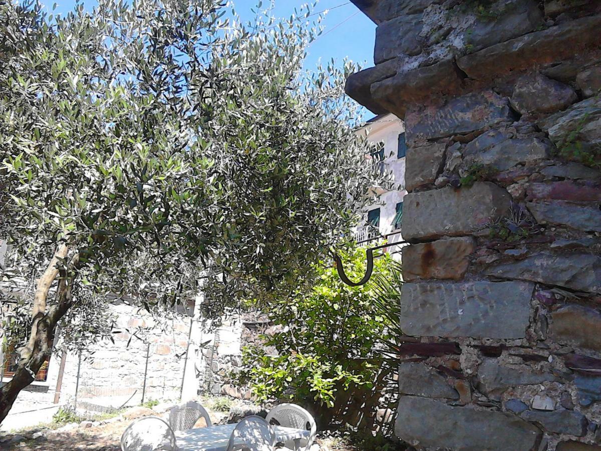 Mare, Monti E...Cinque Terre Apartman La Spezia Kültér fotó